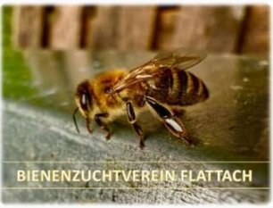 Logo BIENENZUCHTVEREIN FLATTACH  Logo BIENENZUCHTVEREIN FLATTACH